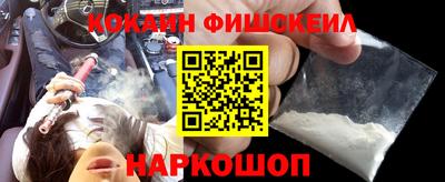 тгк Бийск