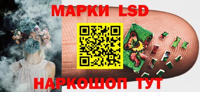 тгк Бийск