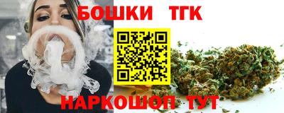 тгк Бийск