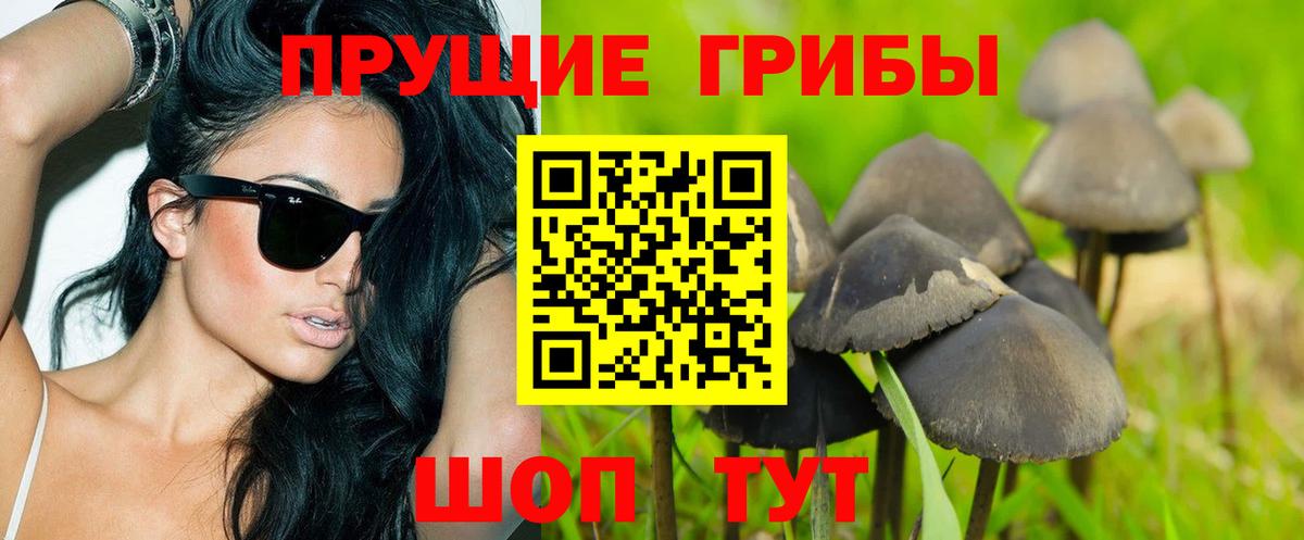 Галлюциногенные грибы GOLDEN TEACHER  Вход с VPN  Кизилюрт 